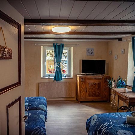 Gite Les Sabots De Paille, Alsace Haut-Rhin Ballesdorf Экстерьер фото